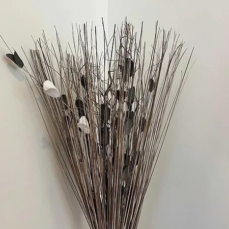 アパート Janela Do Atlantico マシコ